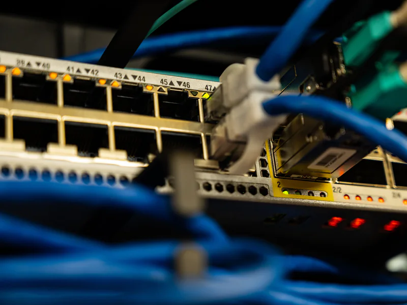 Ethernet cables connected to ports on network equipment
