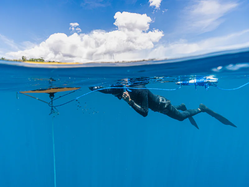 Diver following a guide line underwater where unresolved ROV observations may require qualified verification