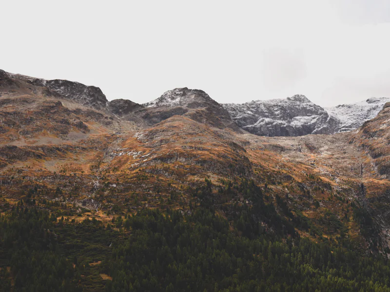 Rugged wooded search terrain with slopes and vegetation that obstruct aerial visibility